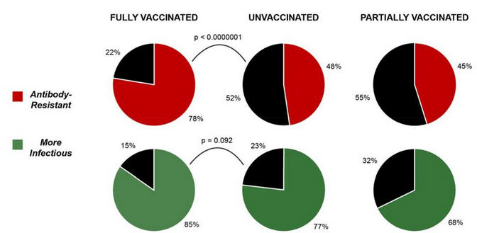 GENgeimpfte sind ansteckend, Grafiken 12.10.2021