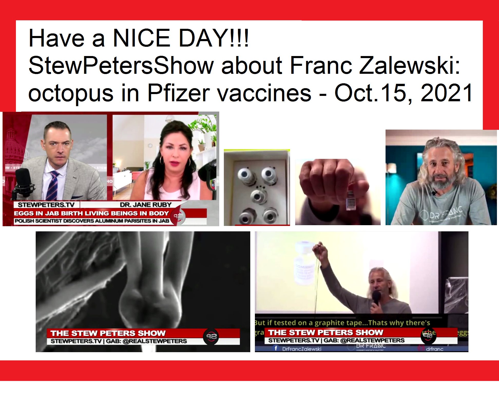 Zusammenfassung �ber die Pr�sentation von Franc
                  Zalewski in der Stew Peters Show vom 15.10.2021