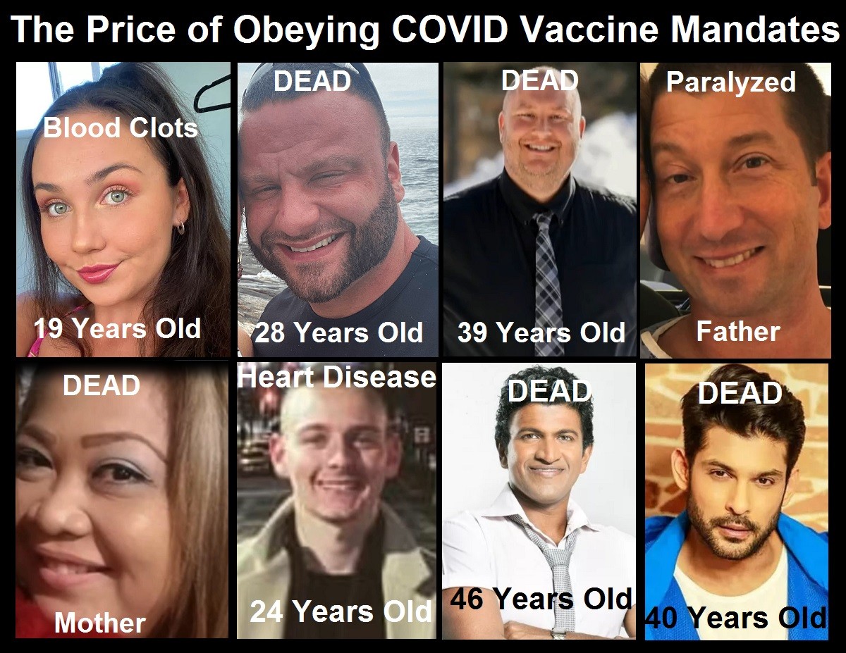 Gene vaccination damages and
                  gene vaccination killings - 8 photos