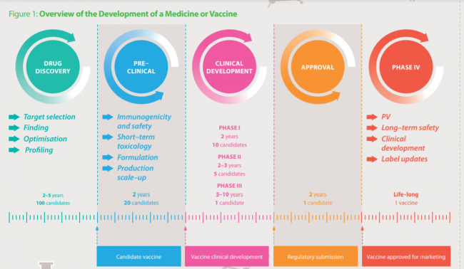 Entwicklungsphasen
                      eines Impfstoffs: Das dauert 5 bis 10 Jahre