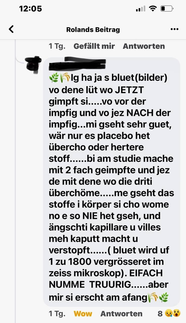 Blutbild unter
                    dem Mikroskop 1800fach vergr�ssert 20.11.2021:
                    GENimpfungen zerst�ren+verstopfen Kapillaren