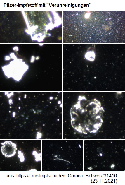 Todesspritze von Pfizer 23.11.2021:
                          Pfizer-Impfstoff mit
                          "Verunreinigungen" - Fotosammlung 2