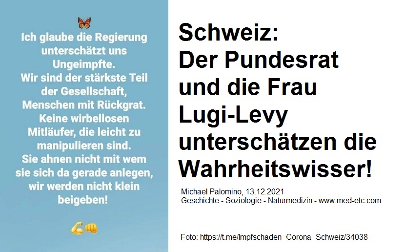 Der Pundesrat
                  und die Frau Lugi-Levy untersch�tzen die
                  Wahrheitswisser!