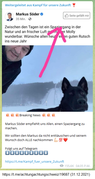 T�ter S�der 31.12.2021 meint,
                  Spazierg�nge sollen gesund sein
