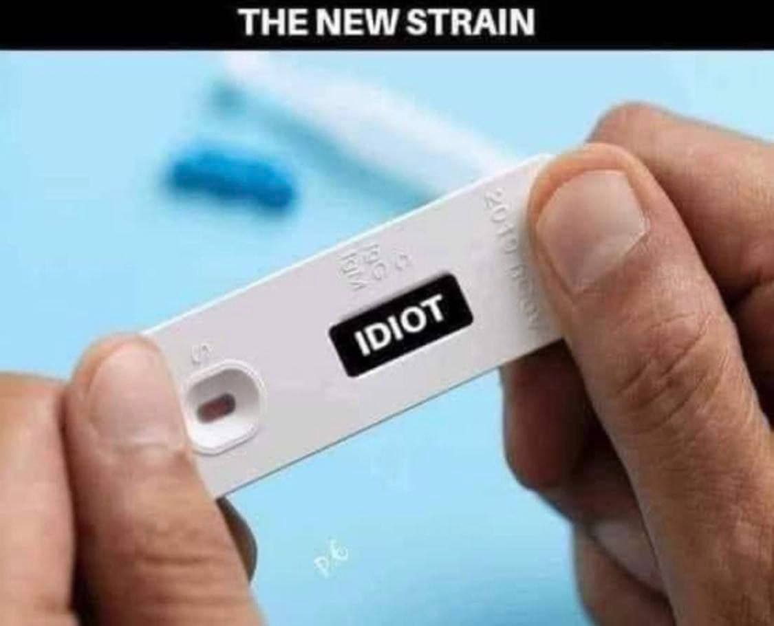 Testwahn 13.1.2022: Wer da
                        mitmacht, ist ein Idiot