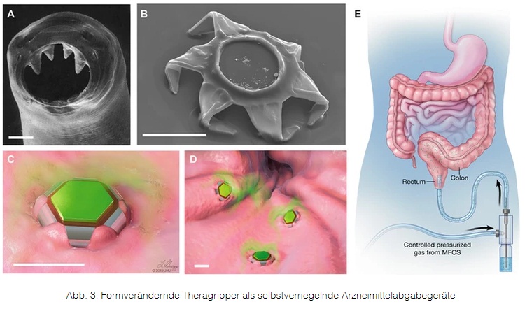 Der PCR-Test ist auch eine GENimpfung