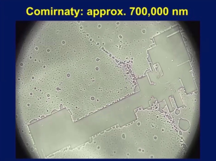 Inhaltsstoffe der
                    SCHLANGENGIFTimpfung in Neuseeland 13.5.2022: Auch
                    da wurden Nanosender gefunden: Dr. Robert Wakeling
                    aus Neuseeland best�tigt die Befunde spanischer
                    Forscher �ber Graphenoxid-basierte Mikrotechnologie
                    im Pfizer-"Impfstoff"