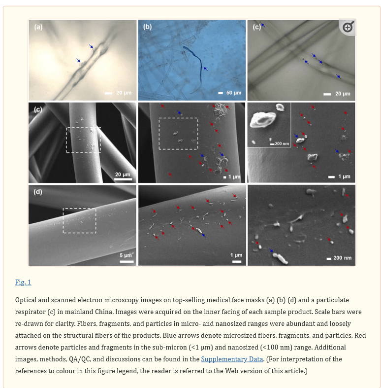 Autopsie 7.6.2022:
                    Mikroplastik in den Lungen von Maskentr�gerInnen