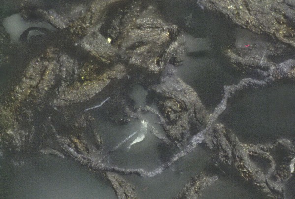 Braunes
                    Gummi-Blutgerinnsel 05