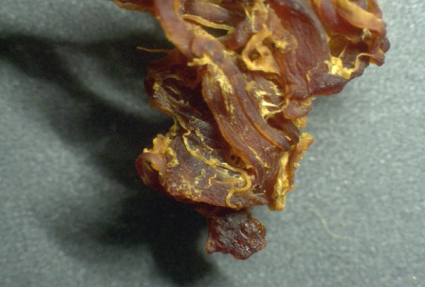 Braunrotes
                    Blutgerinnsel 01