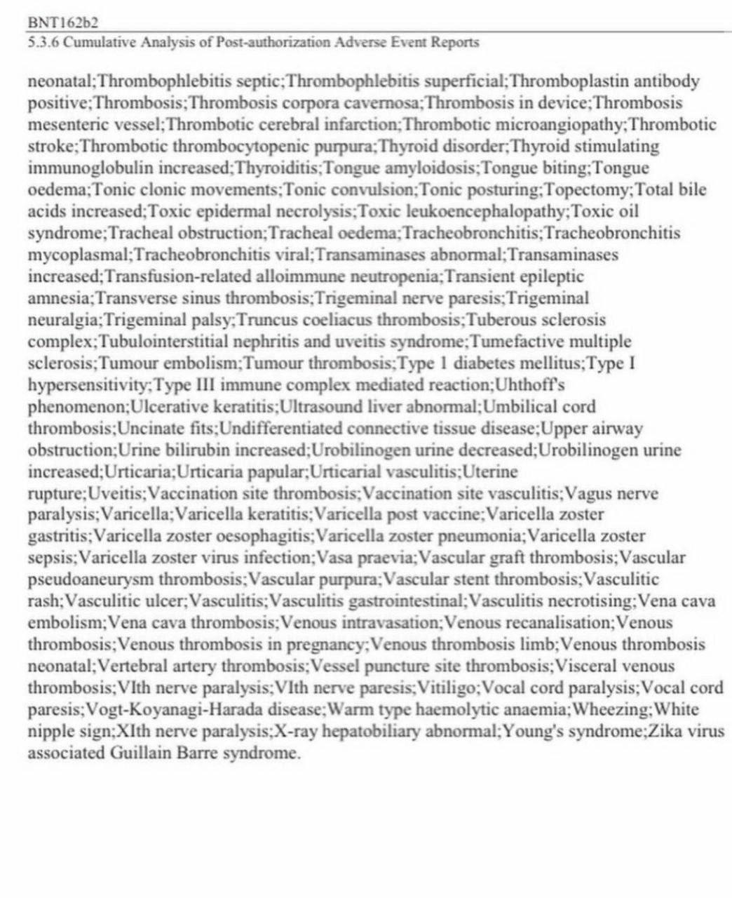 Pfizer-Dokument
                ohne Nummer