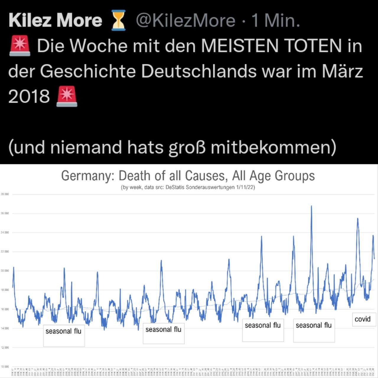 Zahlen 4R 2010-2020: Tote durch
                  Grippewellen - Diagramm