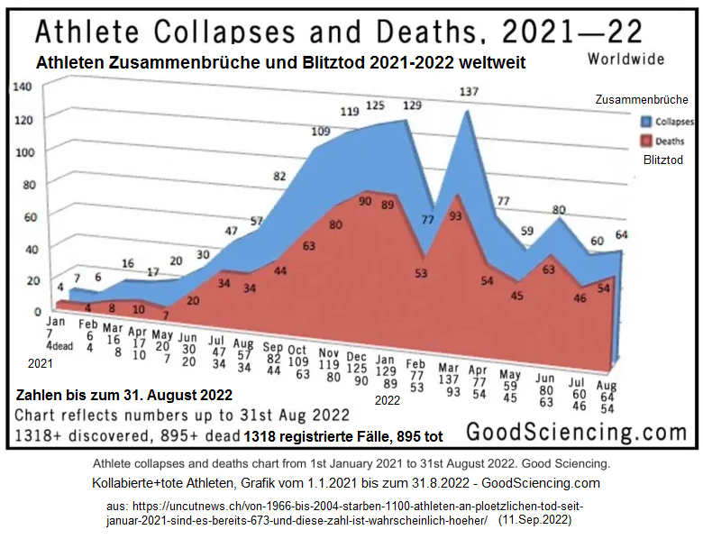 Zahlen SportlerInnen mit Blitztod oder
                    Zusammenbruch Januar 2021 bis August 2022
                    (englisch+deutsch): Von 1318 registrierten
                    Zusammenbr�chen sind 895 am Blitztod gestorben