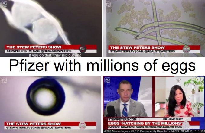 Video
                        Oct 31, 2022: Pfizer "Corona vaccines"
                        w millions of eggs+parasites - Dr.Ruby in Stew
                        Peters Show (8'24'')