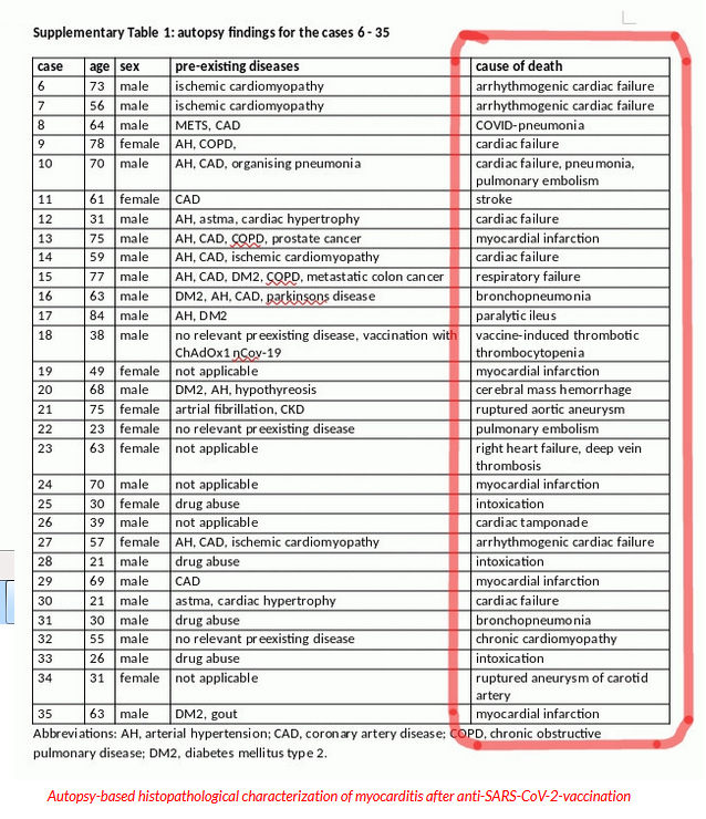 Studie aus Heidelberg
                  4.12.2022: Tabelle der Todesursachen (englisch)
