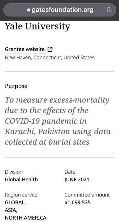 Kriminelle
                      Bill-Gates-Stiftung finanziert Projekte an der Uni
                      Yale