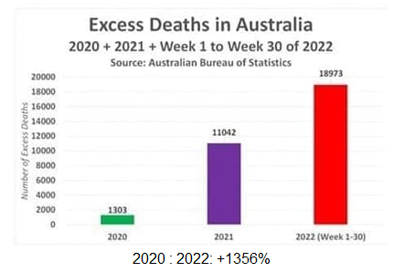 �bersterblichkeit
                                                          Australien
                                                          7.12.2022:
                                                          PLUS 1356%
                                                          gegen�ber 2020
                                                          OHNE
                                                          "Coronaimpfung"
                                                          [12]