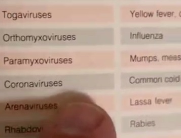 29.8.2023: Grippeviren waren schon IMMER
                      "Coronaviren": Coronaviren = normale
                      Grippe (coronaviruses = common cold)