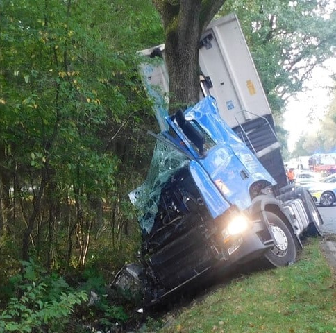 Verdacht Vaccident in Bispingen
                          (Niedersachsen, 4R) am 11.10.2023: Lastwagen
                          landet am Baum: T�dlicher Unfall auf
                          Bundesstra�e: Laster st��t frontal mit Baum
                          zusammen