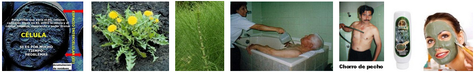Instituto de Cos: medicina
                              nautral con hierbas, agua (hidroterapia),
                              arcilla etc.