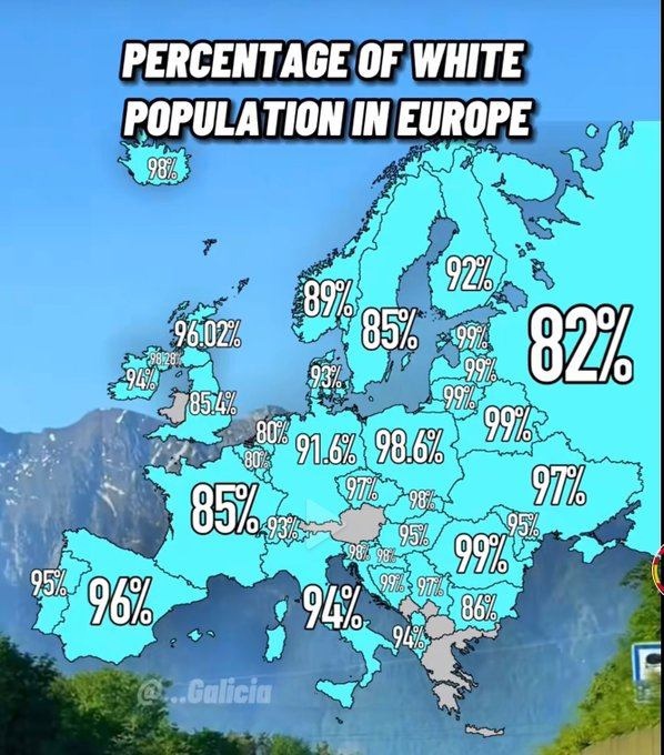 29.7.2022: Rassen in Europa:
                  Die weisse Rasse in Prozent - Karte