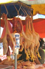 Para reducir reumatismo
                                    y ácido úrico: reducir el consumo de
                                    carne, p.e. pollo