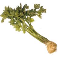 Para la
                                        revitalizaci�n del cuerpo para
                                        recuperar la potencia: comer
                                        apio