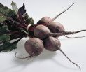 Beetroot extract is acting as a laxative,
                        is strengthening the functions of the liver