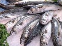 Compteur de poisson