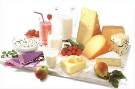 Milchprodukte: Milch, Jogurt, Butter, K�se