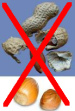 Erdnüsse und Haselnüsse sind für
                        Blutgruppe B schädlich