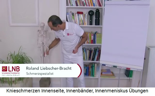 Schmerzen an der
                      Innenseite des Knies - die Position am Skelett
