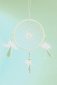 Hom�opathie heilt Psyche
                              aus: Traumf�nger f�r die Psychologie
