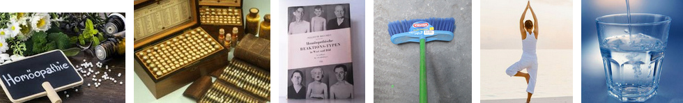 Hom�opathie-Prinzipien:
                              Reaktionstypen, Boden putzen,
                              Gleichgewicht finden, Wasser �bermittelt
                              Botschaften von Heilmitteln