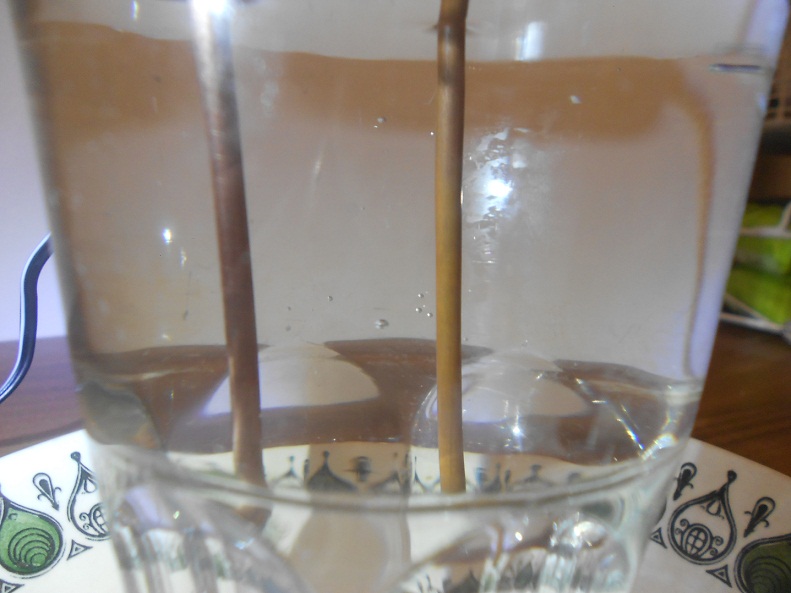 15 minutos
                  despu�s: las varillas en el agua destilasa no tienen
                  barbujas, pero una varilla es m�s clara que la otra
                  que es negrita 2