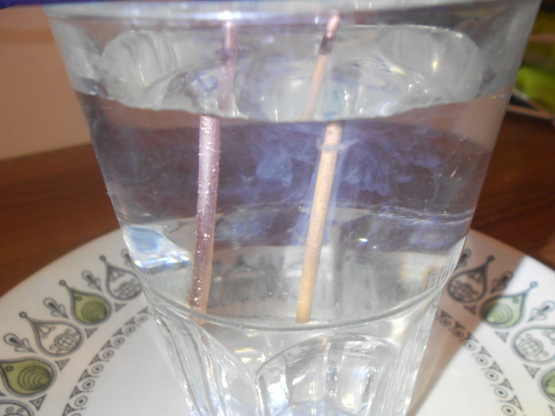 salen iones de cobre, vista de cerca 01