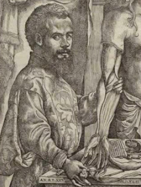 Andreas Vesalius