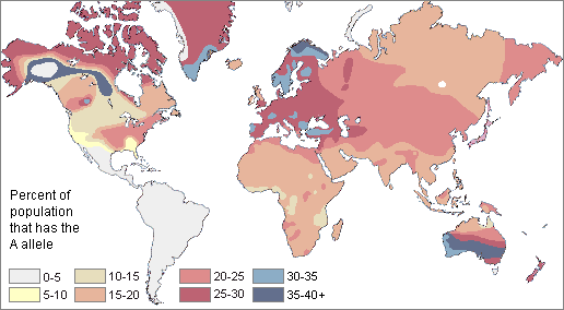 Mapa: Grupo
                  sangu�neo A universal de hoy