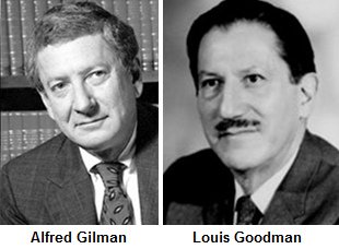 "USA" 1942: Alfred
                      Gilman und Louis Goodman wollen Senfgas gegen
                      Krebstumore einsetzen