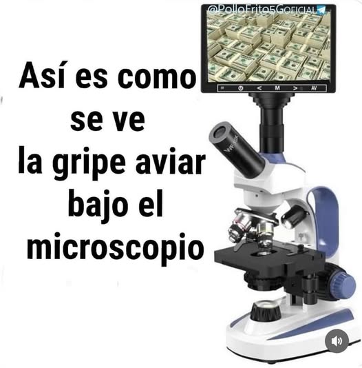 Vogelgrippe
                          am 2.7.2024: unter dem Mikroskop zeigt sich
                          Millionenprofit in Dollar - alles ist nur
                          Manipulation