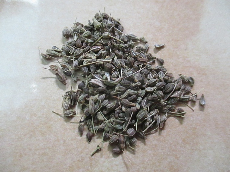 graines
                d'anis 02