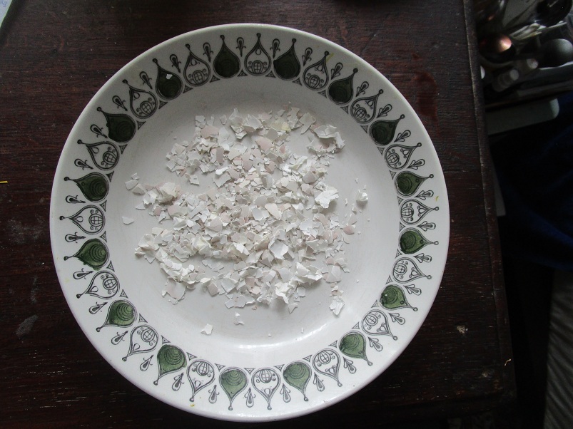 S�chage des coquilles d’�ufs
                    �miett�es dans une assiette