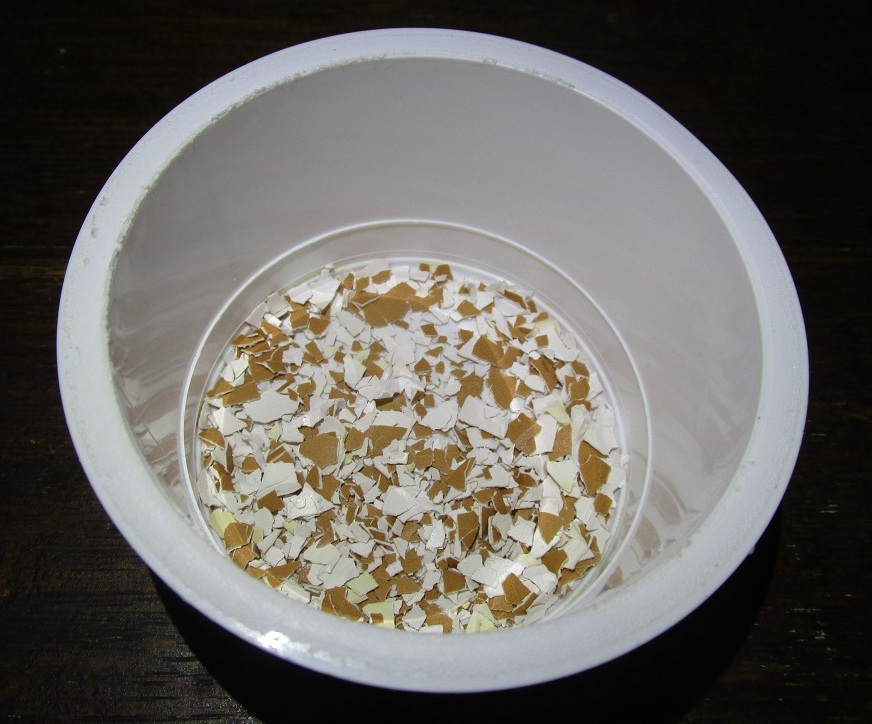 Coquilles
                      d’�ufs �miett�es