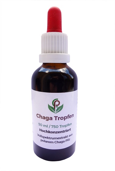 Heilpilz Chaga
                als Tinktur