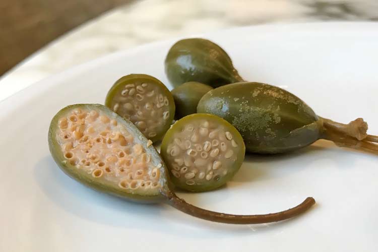 Caper fruits are about 2cm long