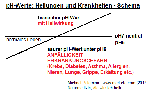 Das
                                Schema mit den pH-Werten: sauer unter
                                pH6 (Anf�lligkeit und
                                Erkrankungsgefahr), zwischen pH6 und pH7
                                f�r das normale Leben, der neutrale
                                pH-Wert pH7, und der basisch-heilende
                                pH-Wert �ber pH7 zwischen pH7 und pH8
