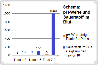Das Schema zeigt den steigenden
                              pH-Wert und die potentielle Steigerung des
                              Sauerstoffs im Blut um den Faktor 10 pro
                              pH-Punkt