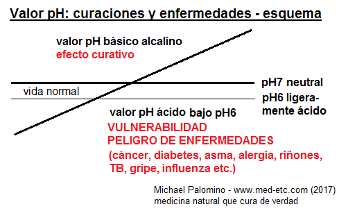 El esquema del valor
                        de pH: cuerpo ácido debajo de pH6 (vulnerable a
                        enfermedades), entre pH6 y pH7 para la vida
                        normal, con valor neutral de pH7, y con un valor
                        básico alcalino curativo sobre pH7 entre pH7 y
                        pH8