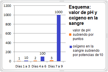 Esquema
                        mostrando como sube el valor de pH y el ox�geno
                        en la sangre por el factor 10 por punto de pH
