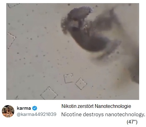 Nikotin zerst�rt Nanotech im Blut 02